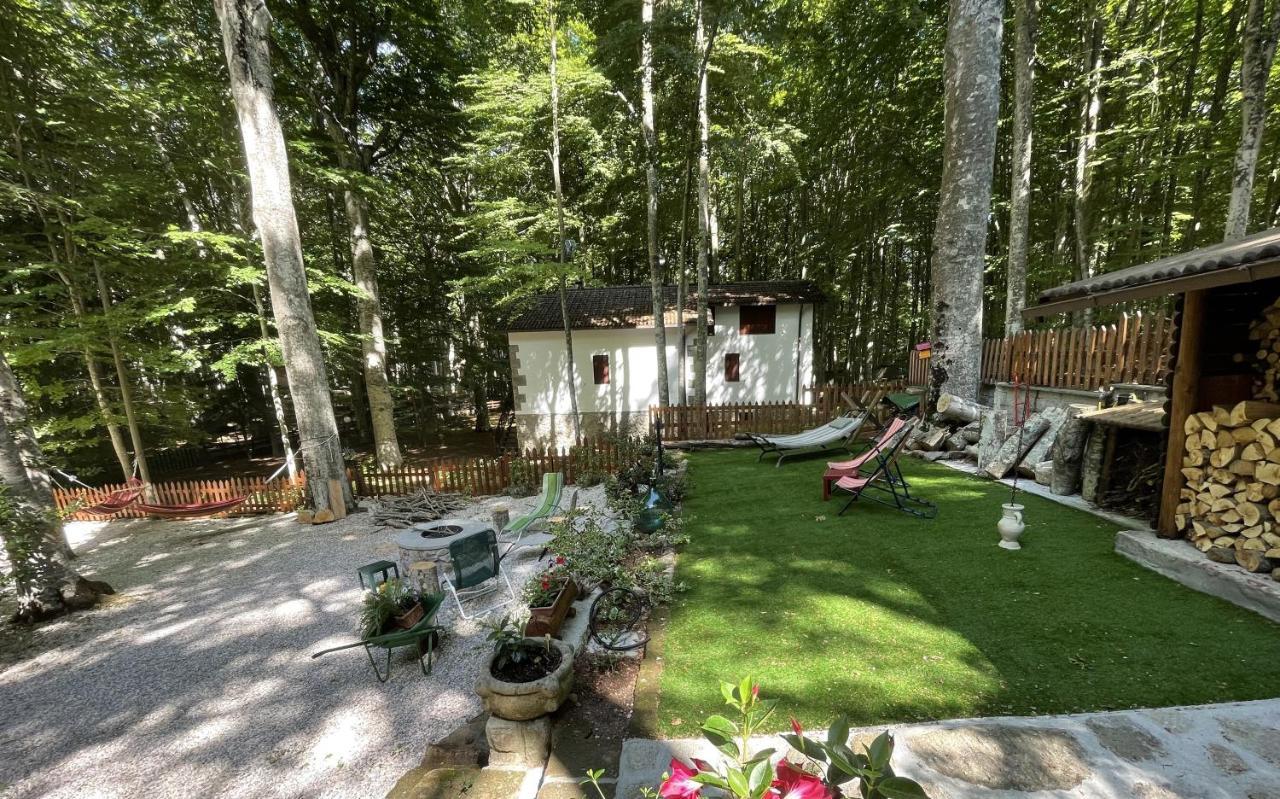 Апартаменты Chalet I Folletti Аббадиа Сан Сальваторе Экстерьер фото