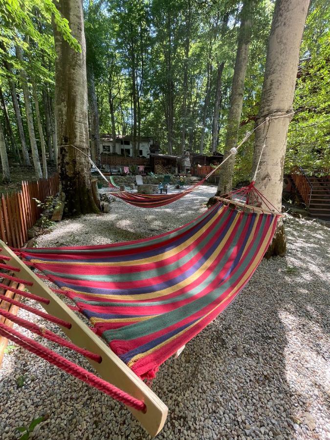 Апартаменты Chalet I Folletti Аббадиа Сан Сальваторе Экстерьер фото